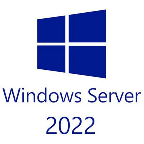 Windows Server 2022 logo with Microsoft Windows icon.